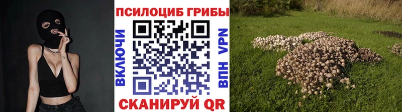 Галлюциногенные грибы Psilocybe  Купить закладки  Донецк 