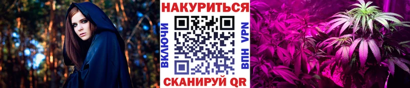 Конопля сатива  Купить закладки  Донецк 